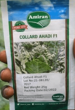 AHADI