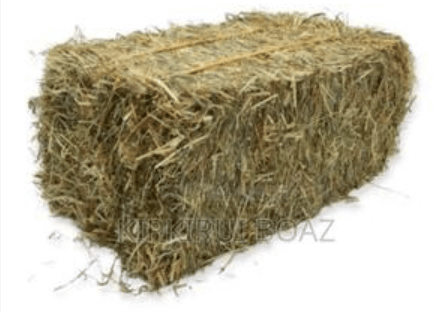Hay